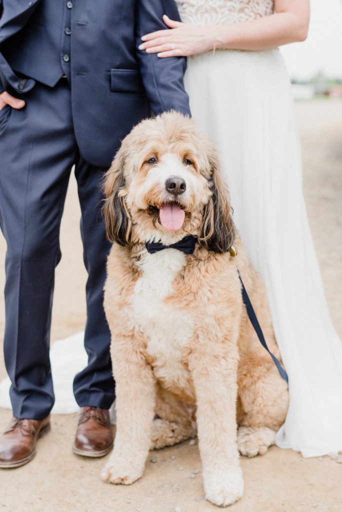 Cambium Farms Caledon barn wedding photographed by Jenn Kavanagh Photography