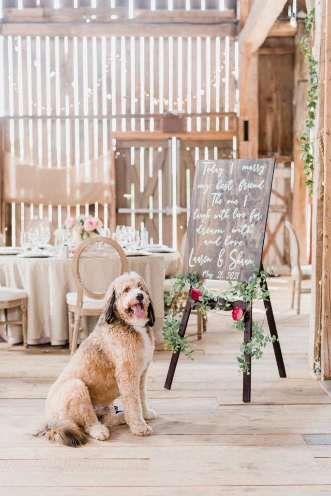 Micro Wedding Ceremony photographed by Jenn Kavanagh Photography