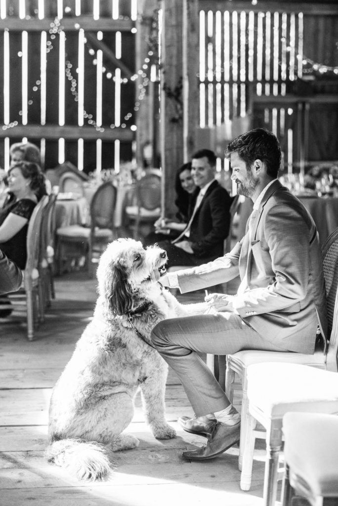 Micro Wedding Ceremony photographed by Jenn Kavanagh Photography