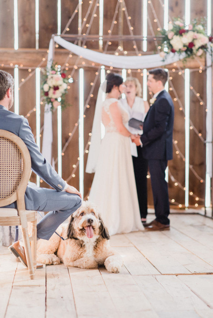 Micro Wedding Ceremony photographed by Jenn Kavanagh Photography
